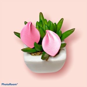 Vintage 70s/80s Shimmer Pink Earrings